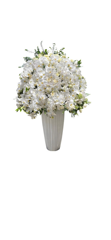 مجموعه اشرافی